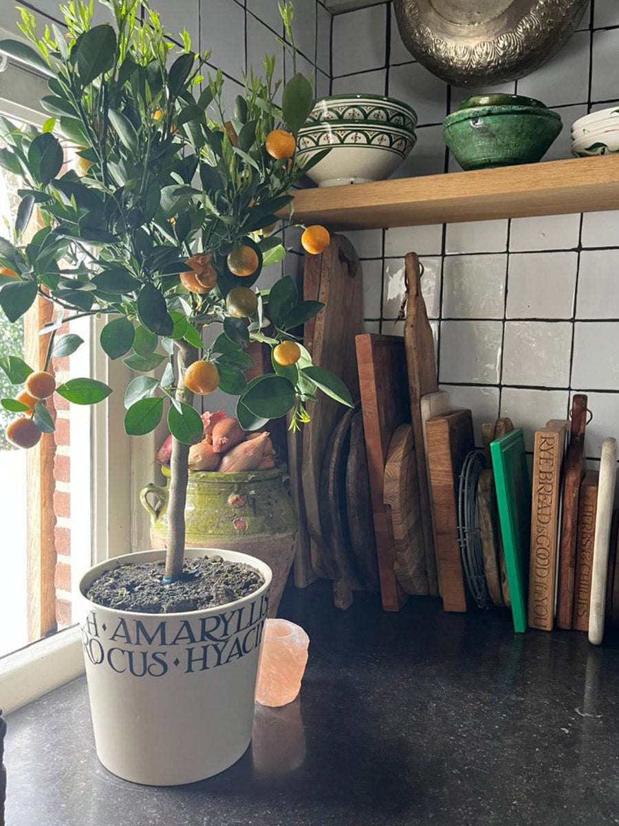 Emma Bridgewater - gluren bij de buren - Huisje14