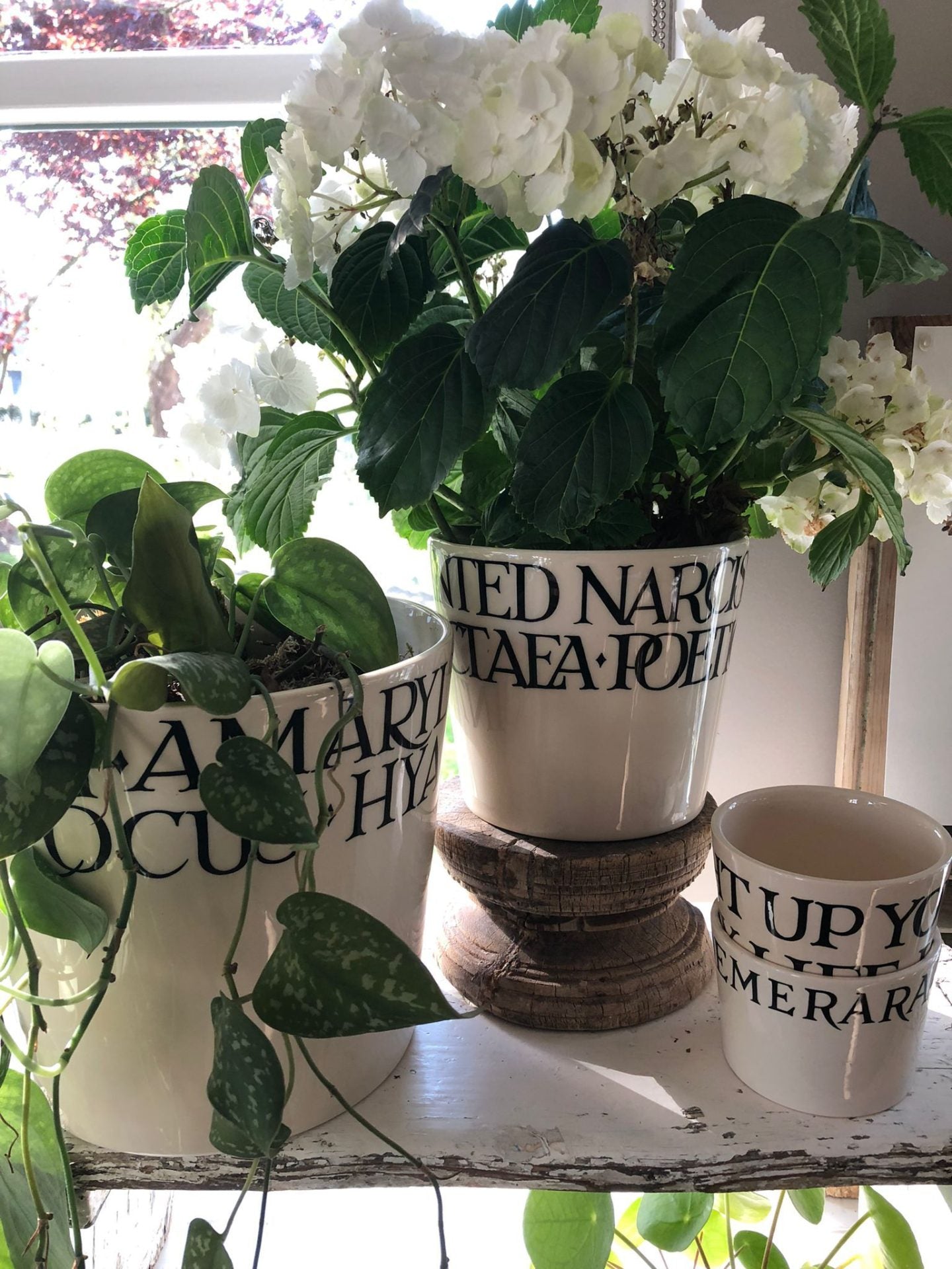 Emma Bridgewater - gluren bij de buren - Huisje14