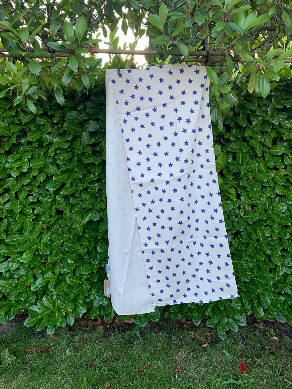 Runner Blue Star