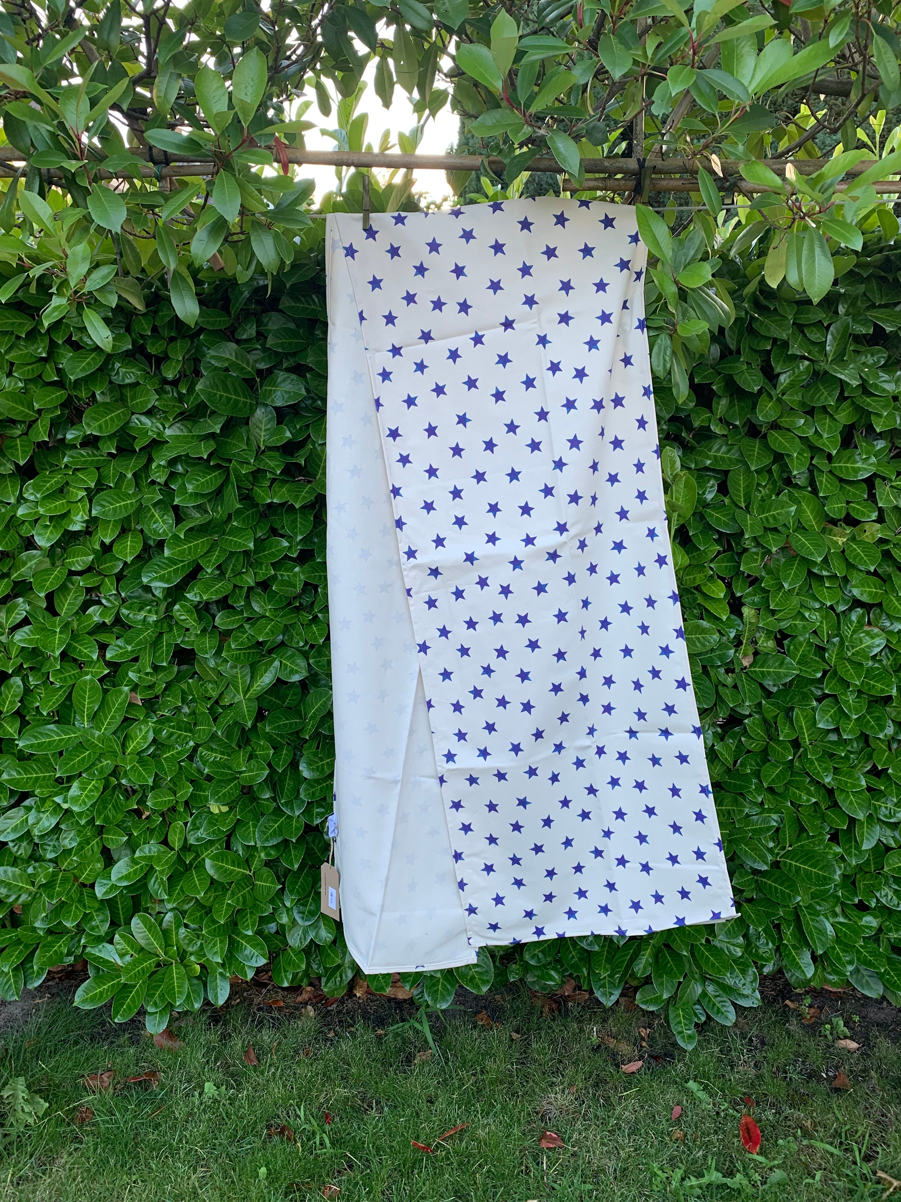 Runner Blue Star