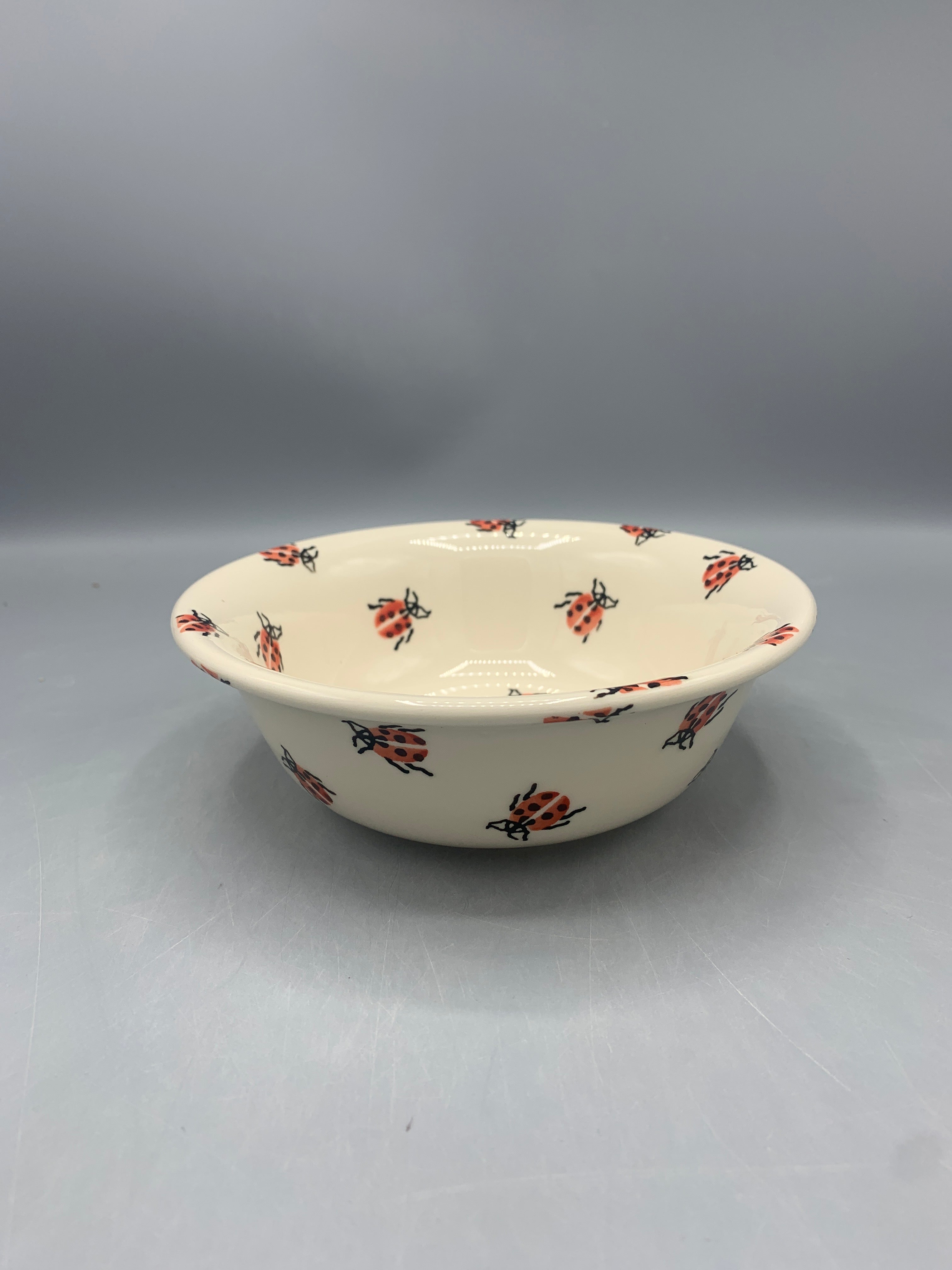 Cereal Bowl Ladybird