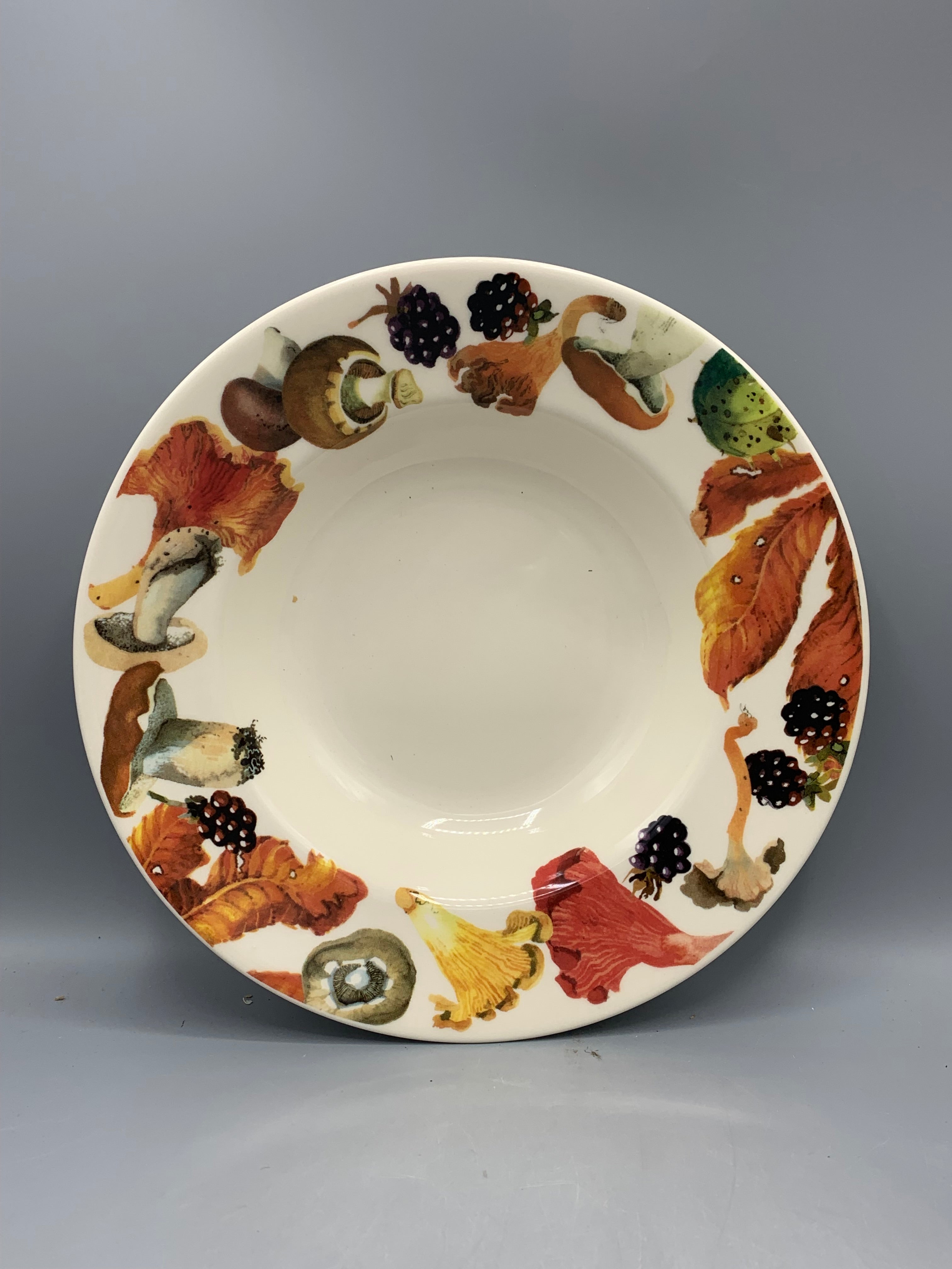 Soup Plate Foraging
