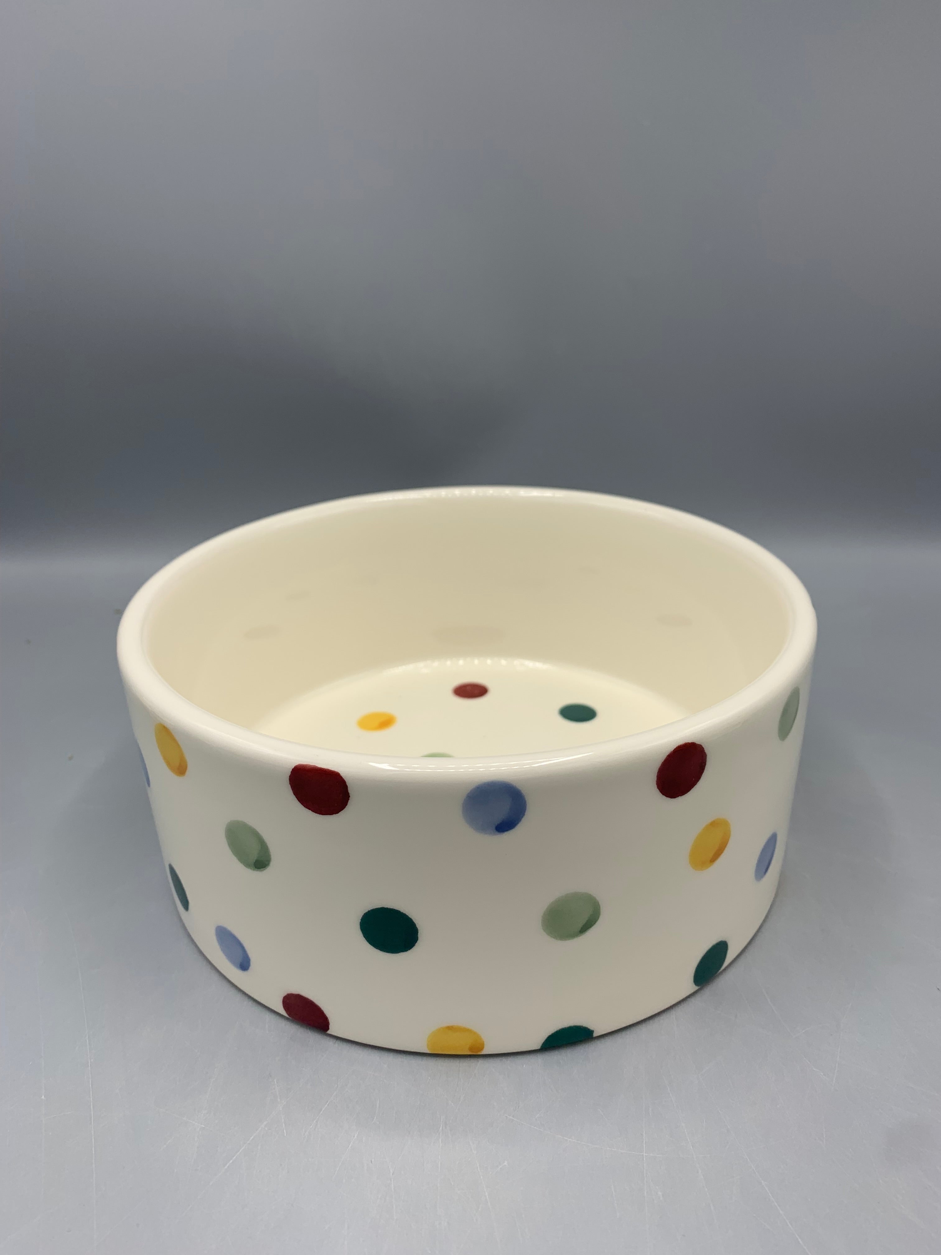 Large Pet Bowl Polka Dot