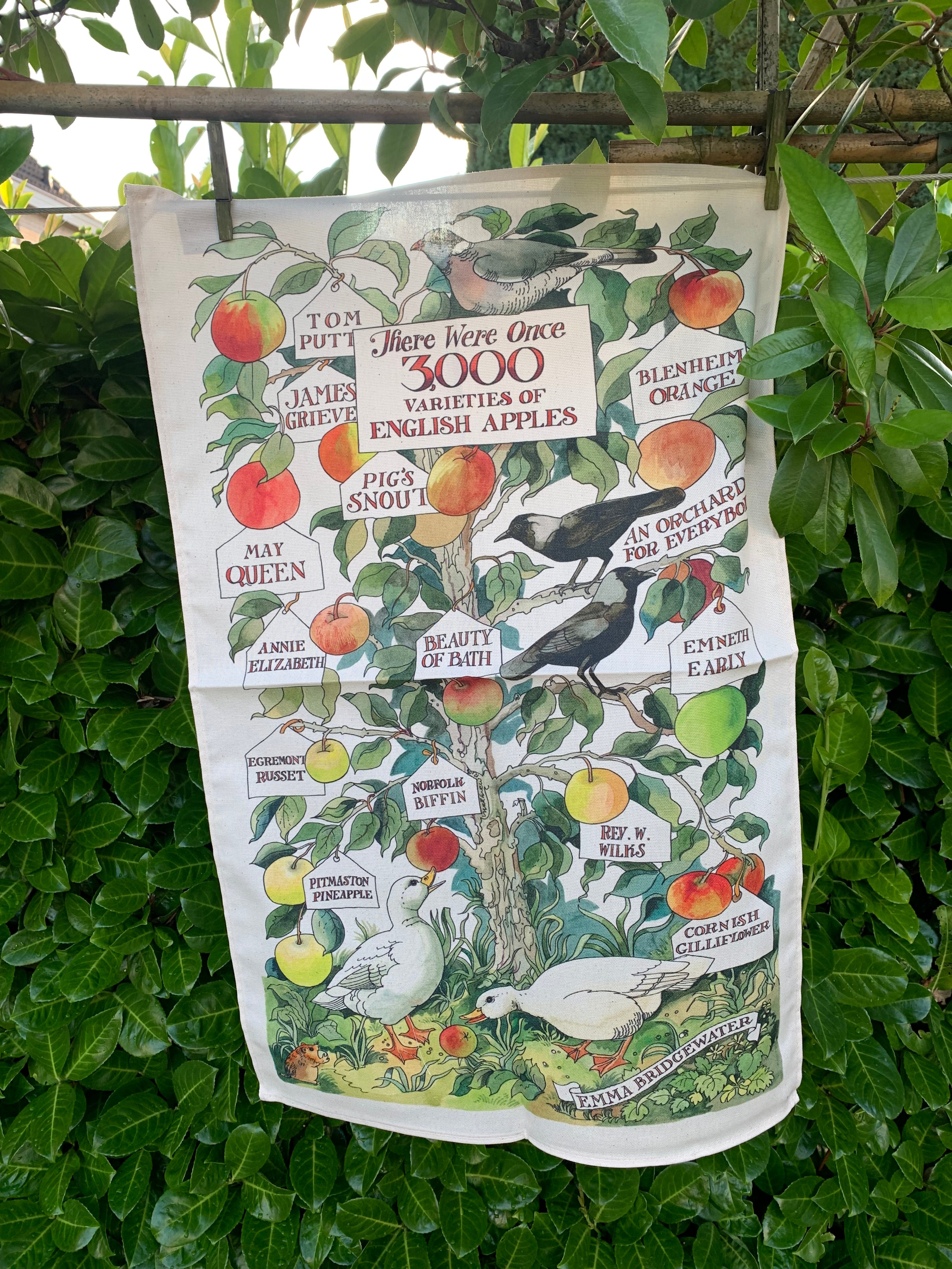 Tea Towel Appel Tree