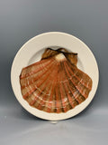 6 1/2 Inch Plate Scallop Shell B Keus