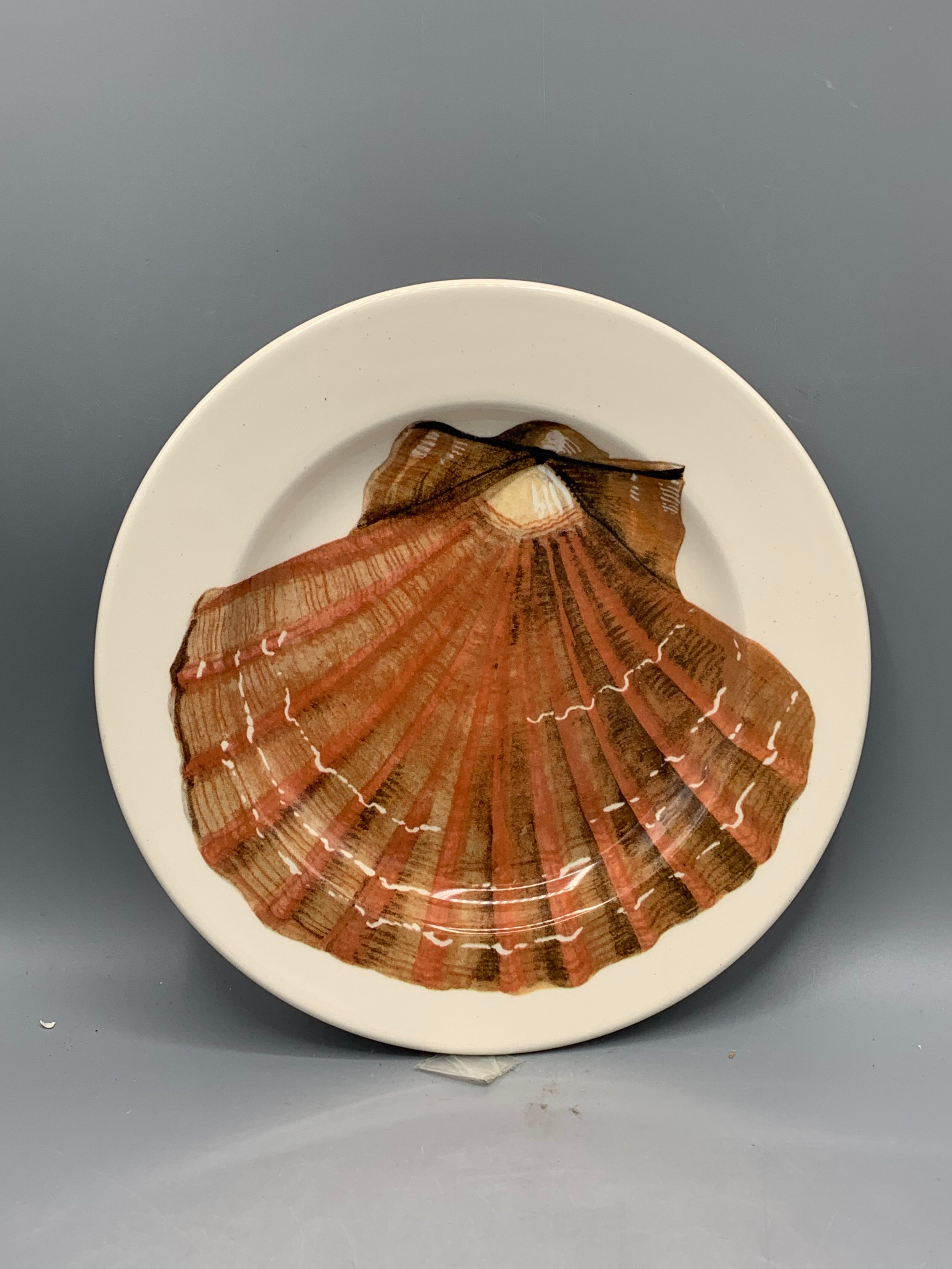 6 1/2 Inch Plate Scallop Shell B Keus