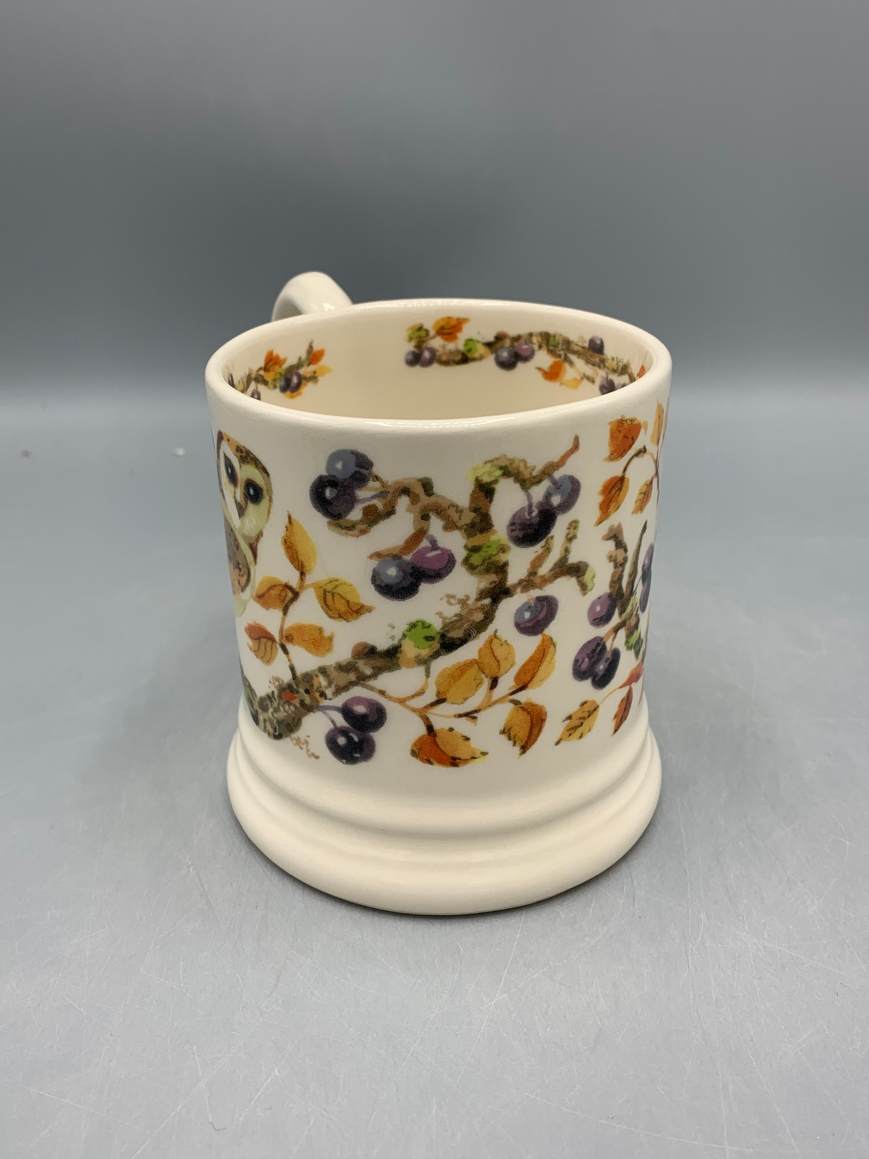 1/2 Pint Mug Owl In Sloe Berries