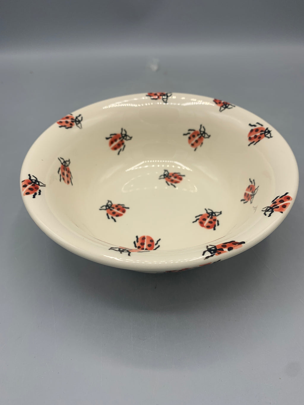 Cereal Bowl Ladybird