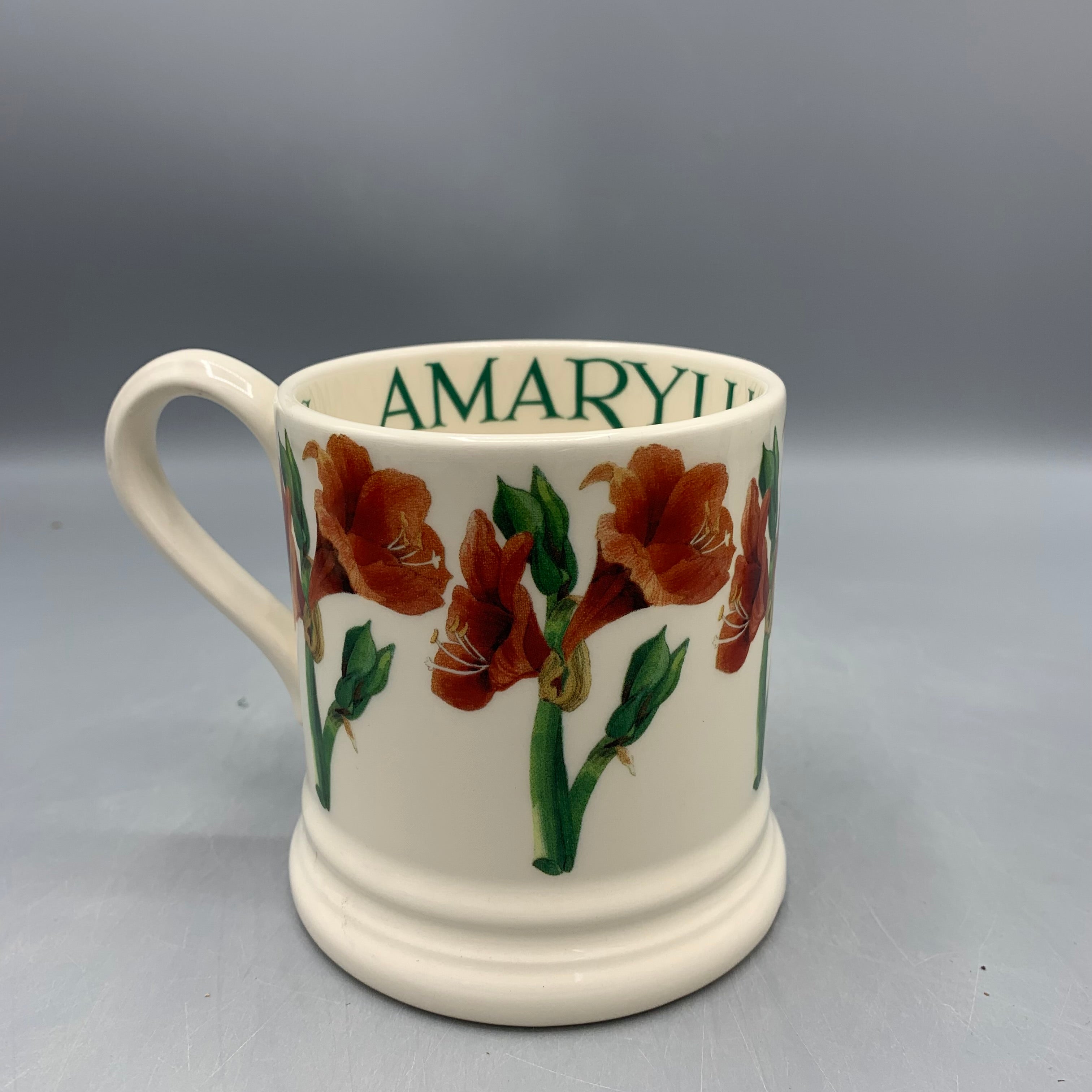 1/2 Pint Mug Amaryllis