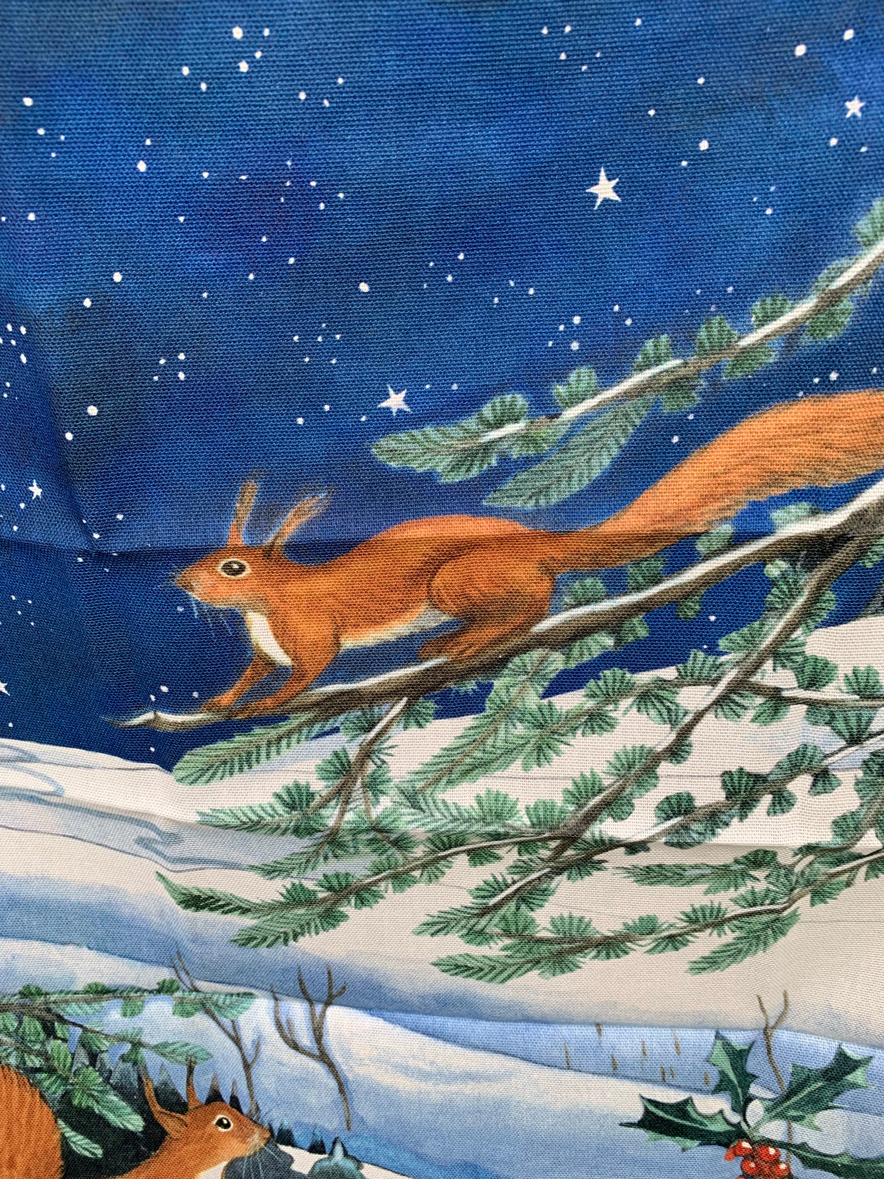 Tea Towel Midnight Squirrel