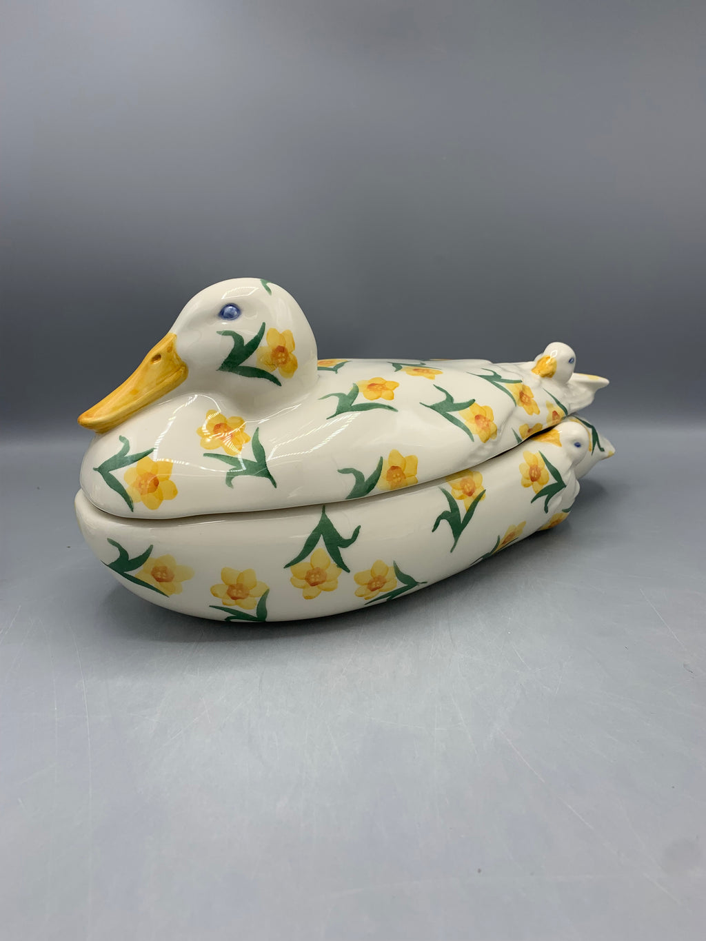 Large Duck On Nest Windblown Daffodils