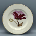 6 1/2 Inch Plate Purple Poppy