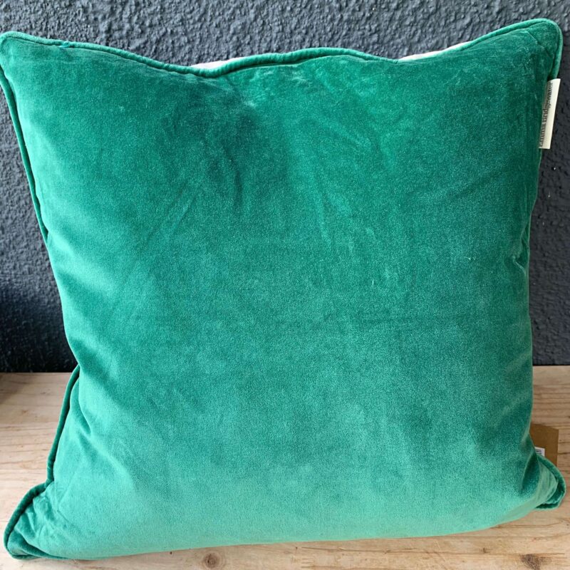 Cushion Mistletoe