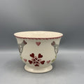 Large Teacup Lovebirds B Keus